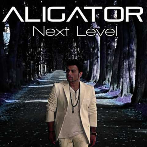 دانلود آهنگ دی جی علی گیتور Starting Over 1 Dj Aligator Starting Over
